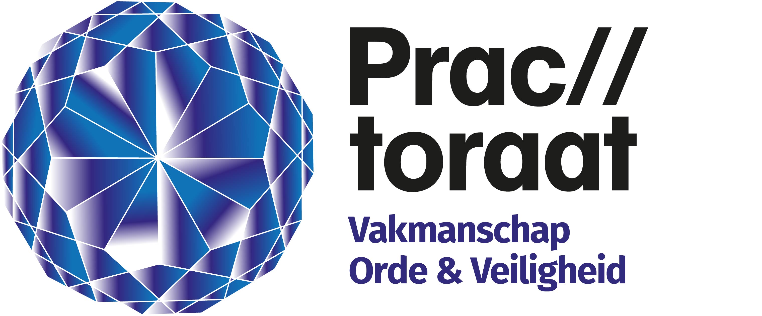 practoraat.popdat.nl